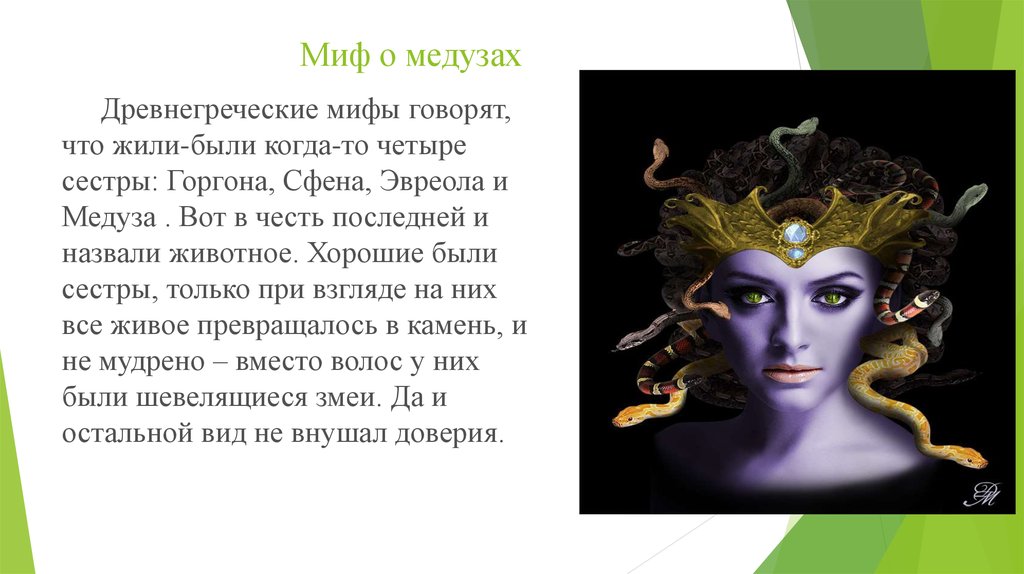Медуза горгона | disney classic