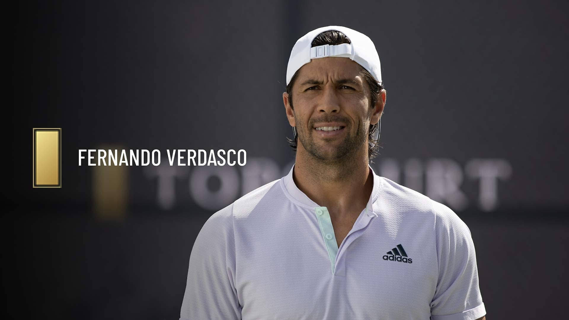 Fernando verdasco net worth: details about age, career, tennis, earnings