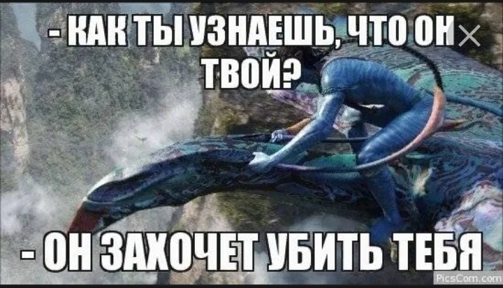 Версий много, истины нет. десять лет со дня смерти андрея панина | звезды | cвободное время | аиф аргументы и факты в беларуси