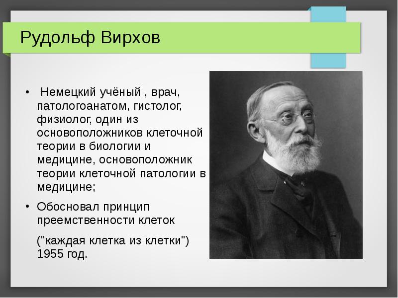Вирхов рудольф интересные факты. глава i | интересные факты