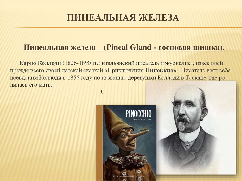 Главные герои сказки «буратино» — описание и характеристика для читательского дневника