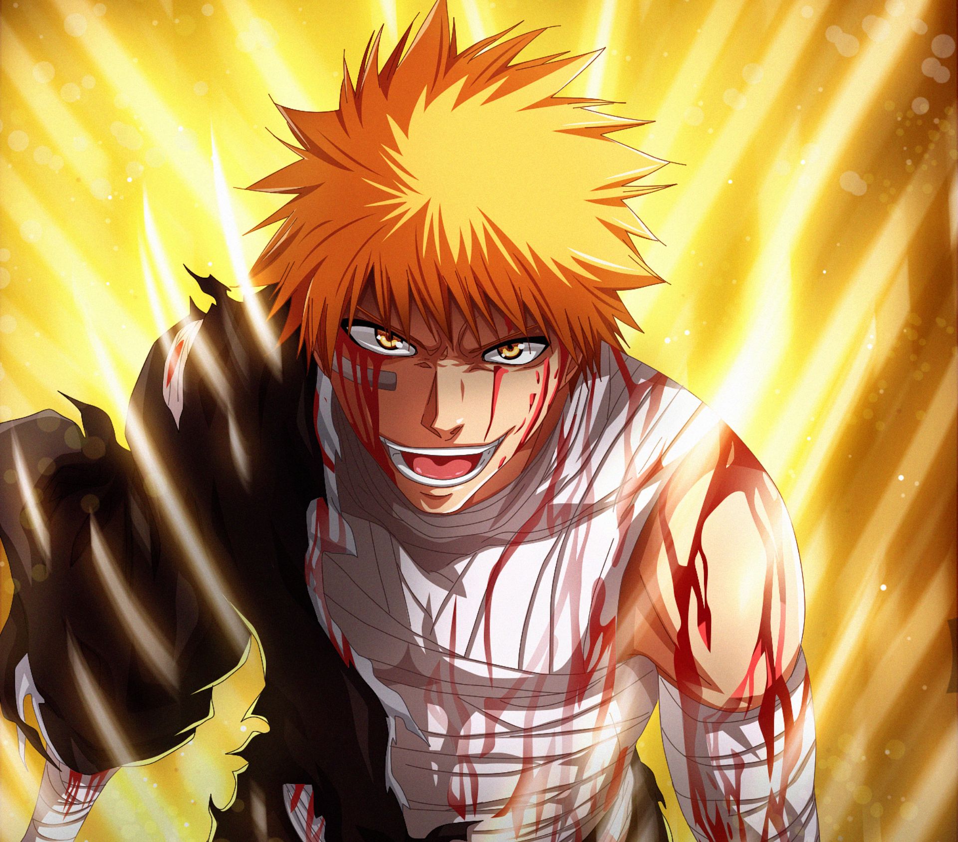 Ichigo kurosaki - character biography, quotes, character