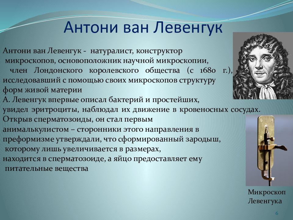 Суматохин с.в. упрямый голландец, открывший простейших. антоний левенгук