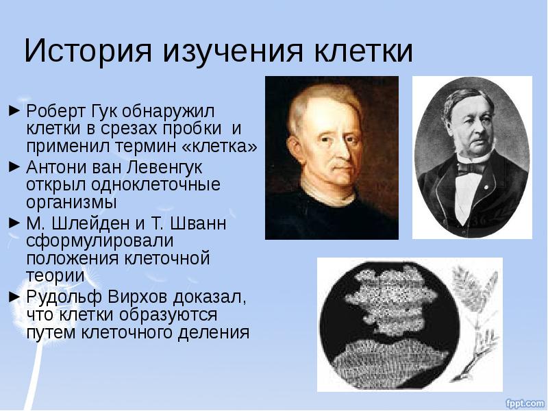 Роберт гук, английский естествоиспытатель, ученый-энциклопедист