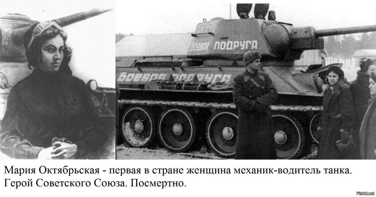 Октябрьская, мария васильевна. герой советского союза мария октябрьская и ее «боевая подруга