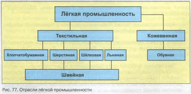 Факторы и технико-экономические особенности размещения предприятий легкой и пищевой промышленности. особенности размещения и отраслевая структура легкой промышленности