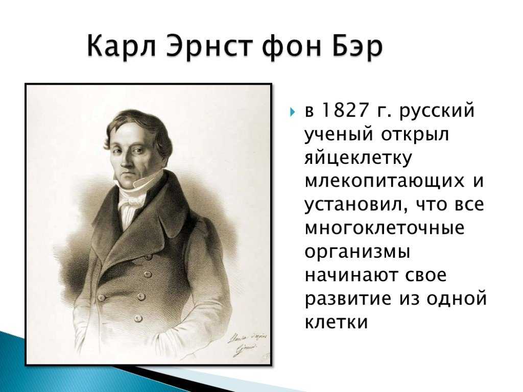 Биография Карла Бэра: фото, личная жизнь, причина смерти, книги, научные достижения, вклад в биологию