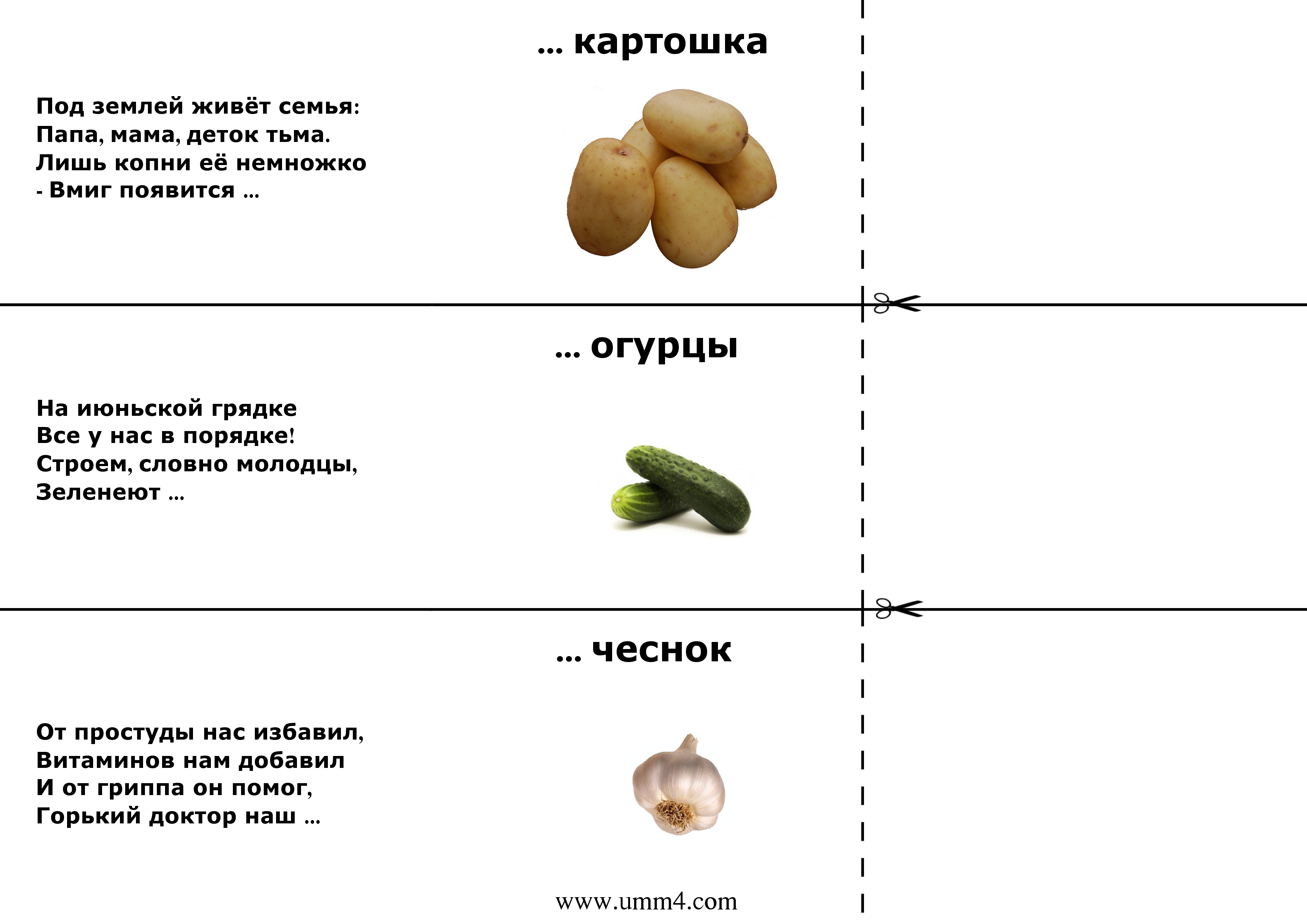 Сложные загадки  с ответами (47 шт.). загадки для взрослых и детей на тему «сложные» на сайте top-zagadki.ru