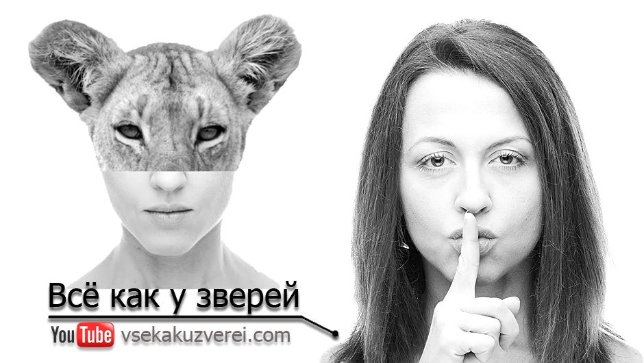 Смотреть все как у зверей. тимонова евгения валентиновна: биография, личная жизнь. почему мы голые