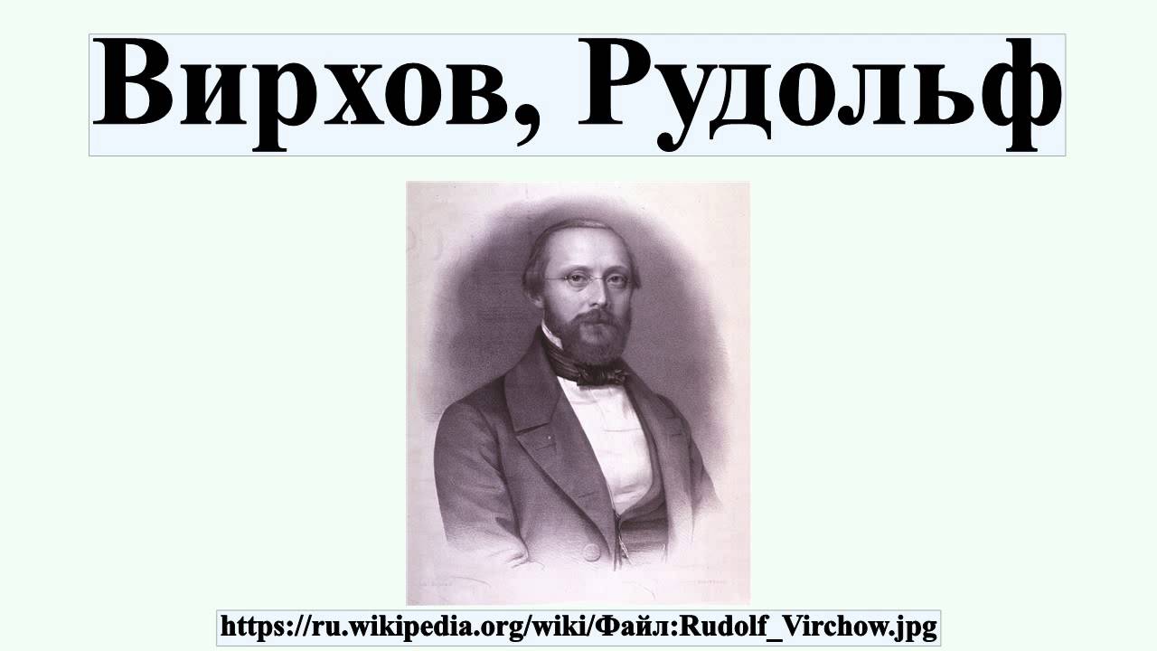 Клеточная теория. учебник