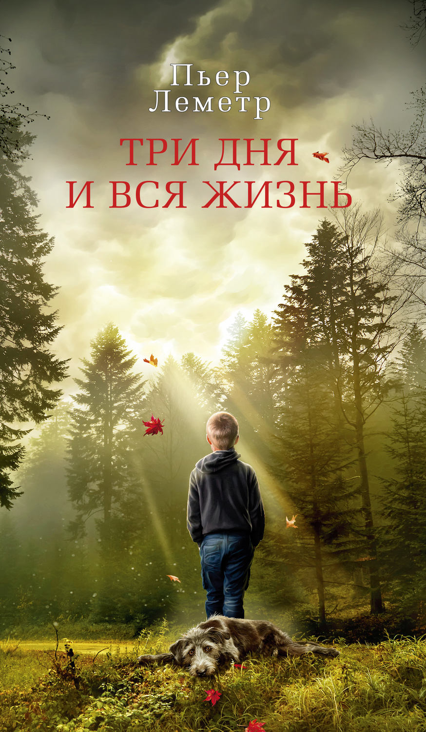 3 лучшие книги удивительного пьера леметра и не только... 📚 › 2024 г.