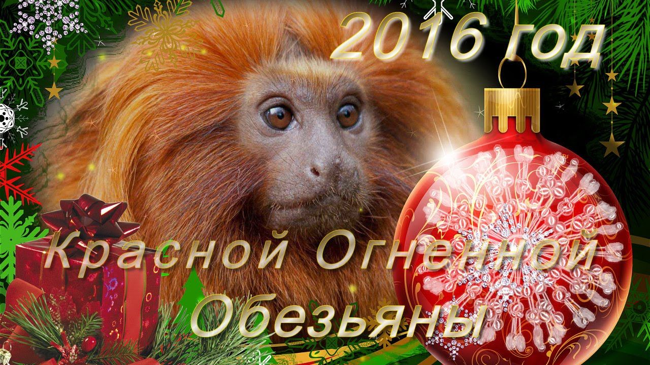 Сервировка стола на новый 2016 год: правила, цвета, идеи и блюда