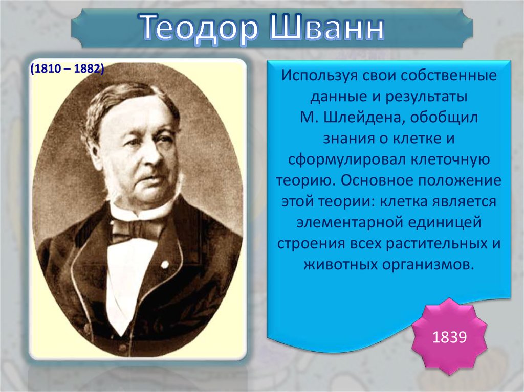 Теодор шванн: биография, теория клеток, другие материалы - arte - 2024