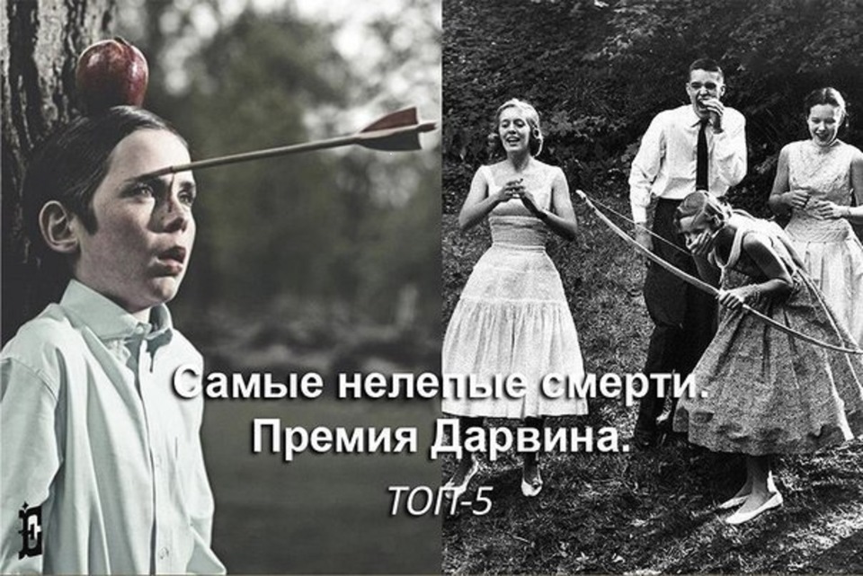 Хрисипп соло: биография, мысли, фразы, произведения, смерть - arte - 2024