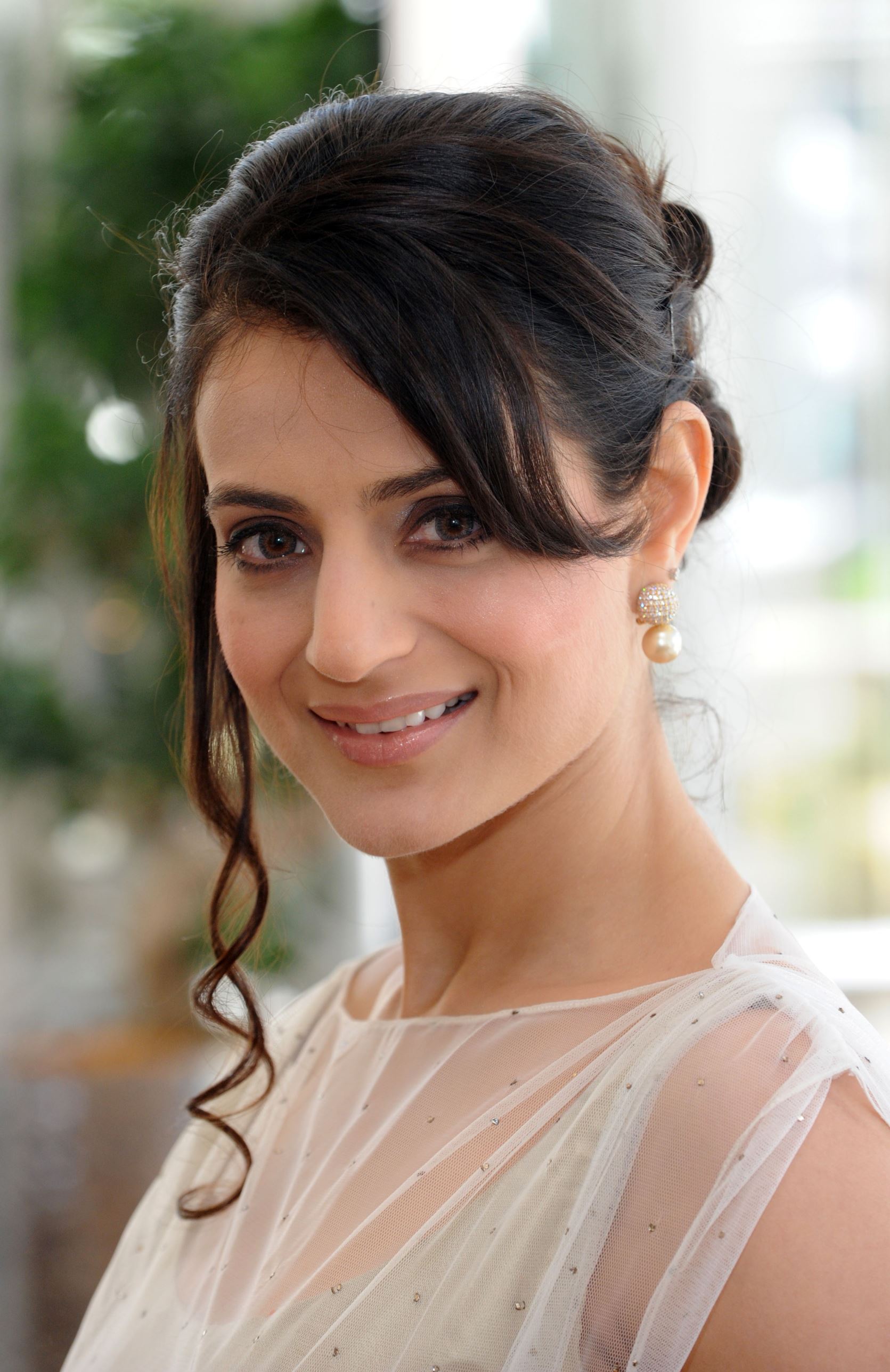 Ameesha patel wiki, age, net worth, movies, height, boyfriend and bio
