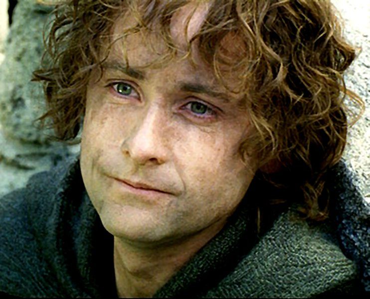 Перегрин "пиппин" тук (peregrin "pippin" took)