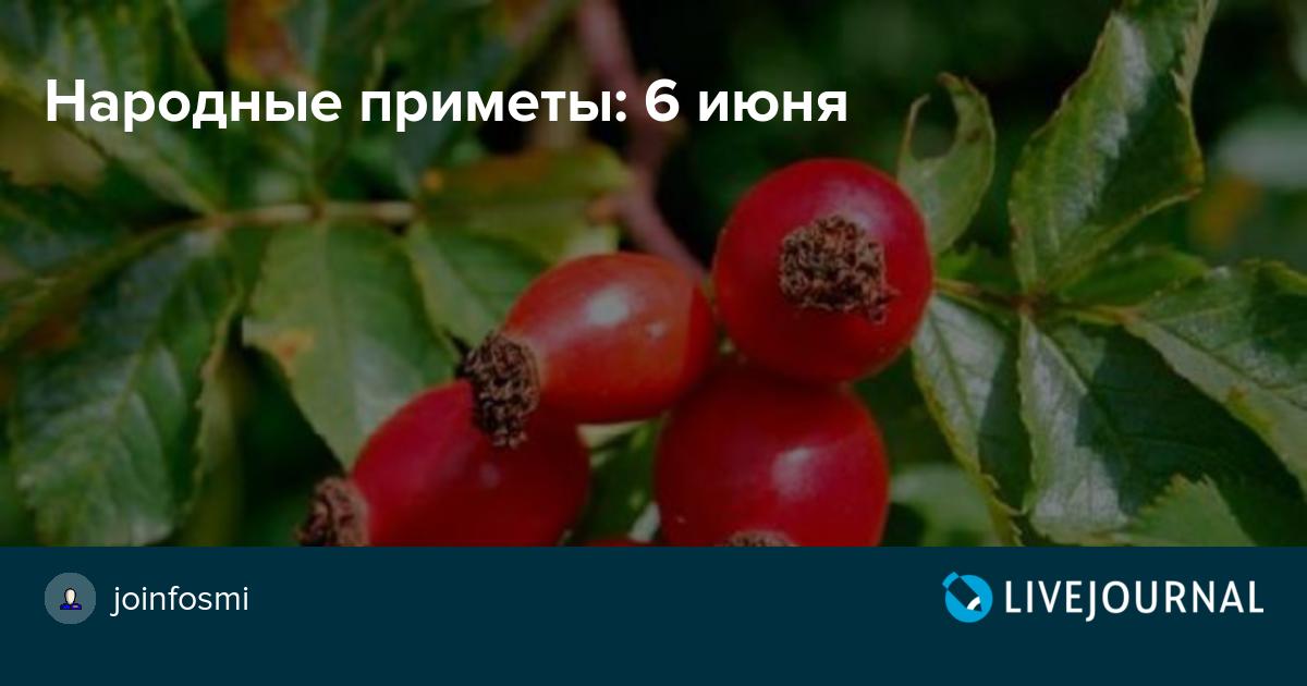 6 декабря 2024 года — какой сегодня праздник, приметы, что нельзя делать, народный календарь