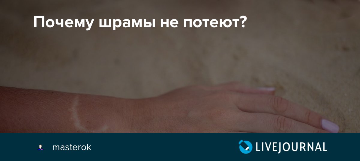 Анастасия безбородова | они знамениты