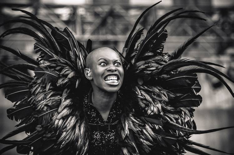 Skunk anansie