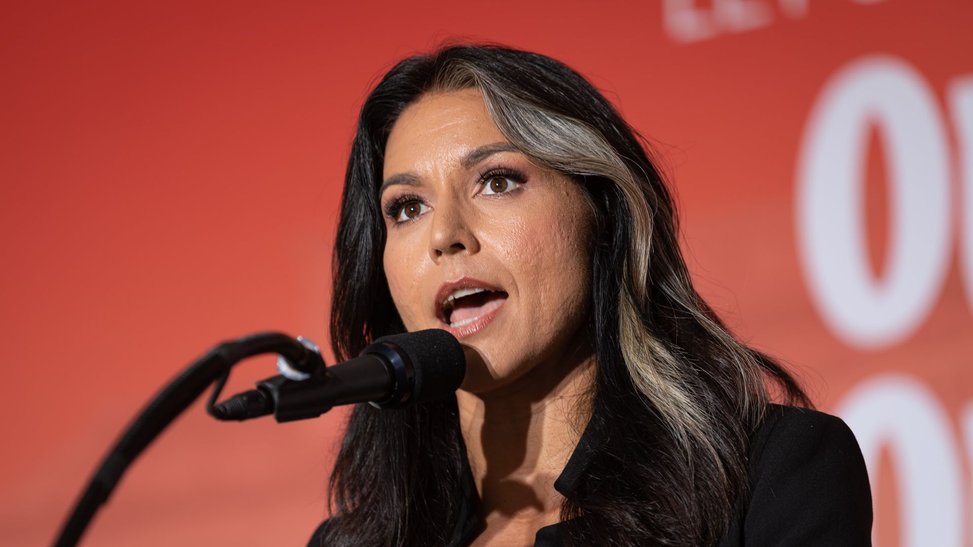Tulsi gabbard biography: age, net worth, instagram, height, wiki, children, husband | thecityceleb