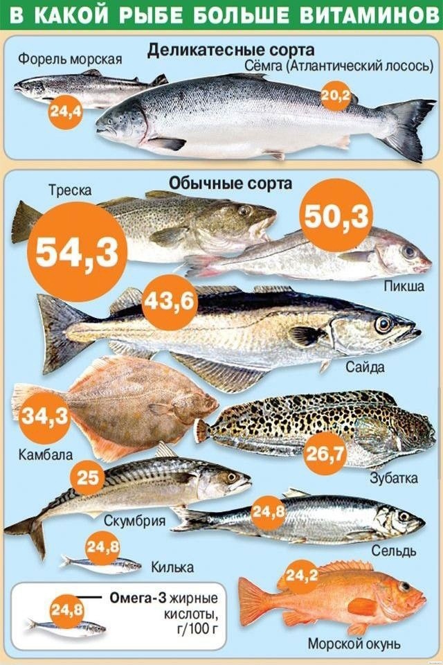 Самая полезная рыба для женского организма