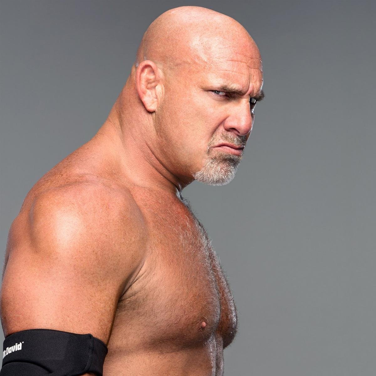 Bill goldberg facts for kids | kidzsearch.com