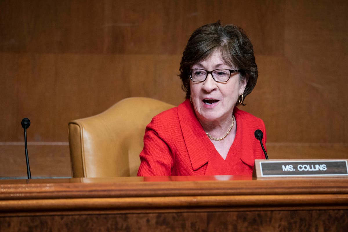 Susan collins net worth, family, parents, husband, education, children, age, biography and political career - political saga