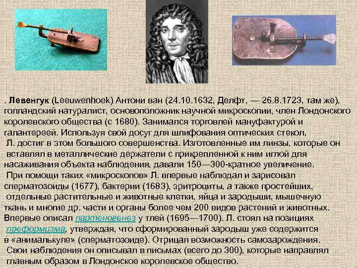 Антони ван левенгук
