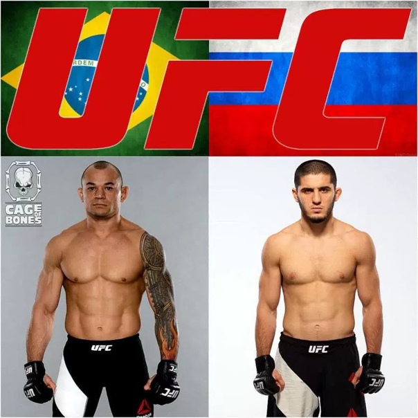 Gleison tibau
brazilian martial artist