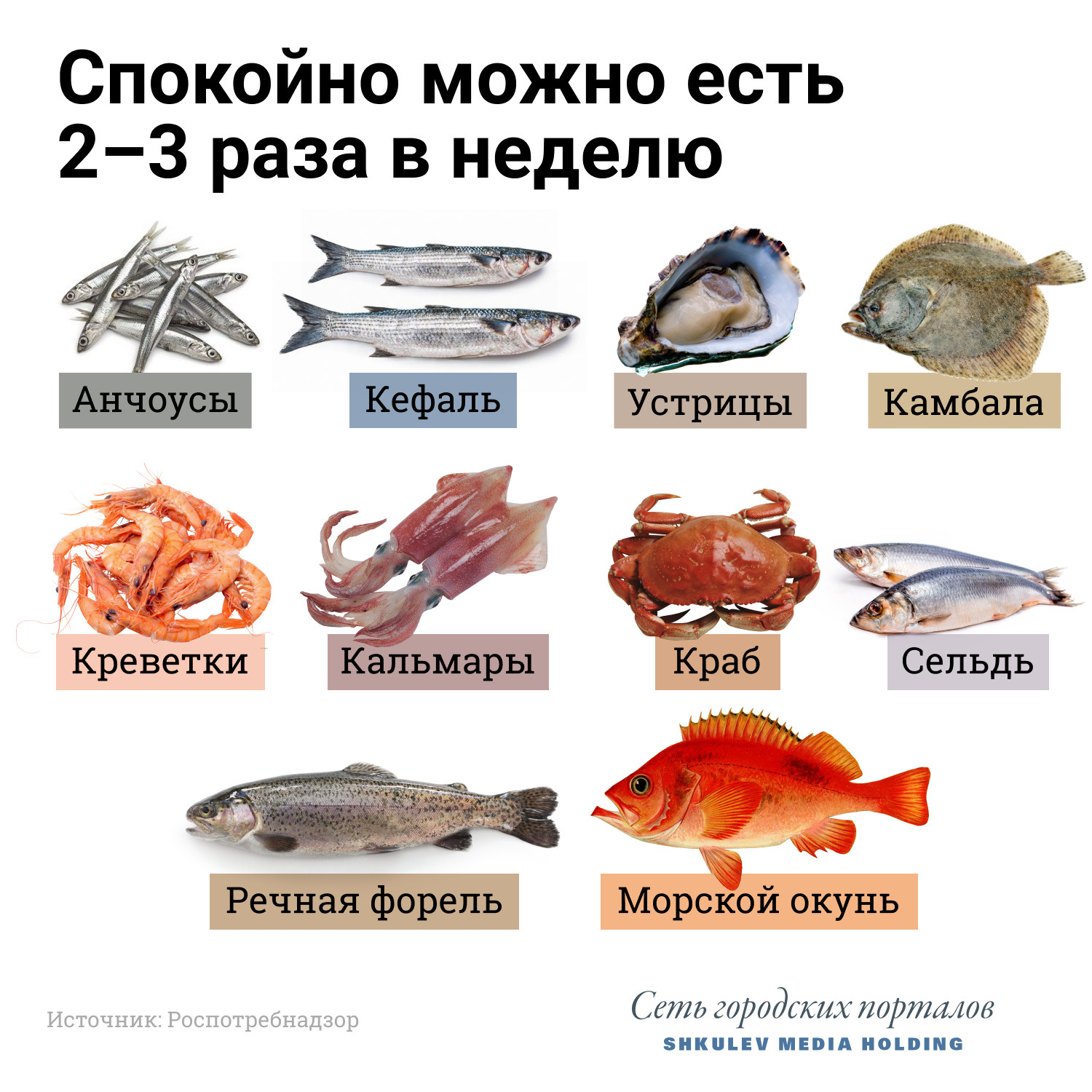Самые полезные сорта рыб для здоровья: топ-9