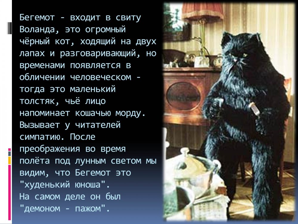 Кот бегемот - характеристика персонажа в романе м.а. булгакова «мастер и маргарита»