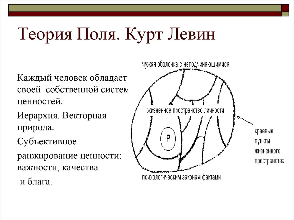 Курт левин, немецкий психолог — теория «поля» курта левина