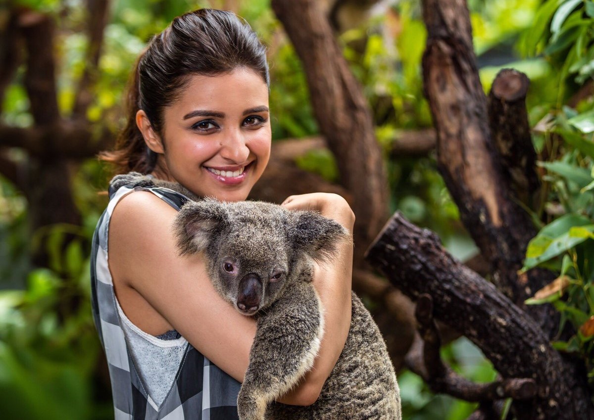 Parineeti chopra: biography, age, sister, movies, instagram - tae