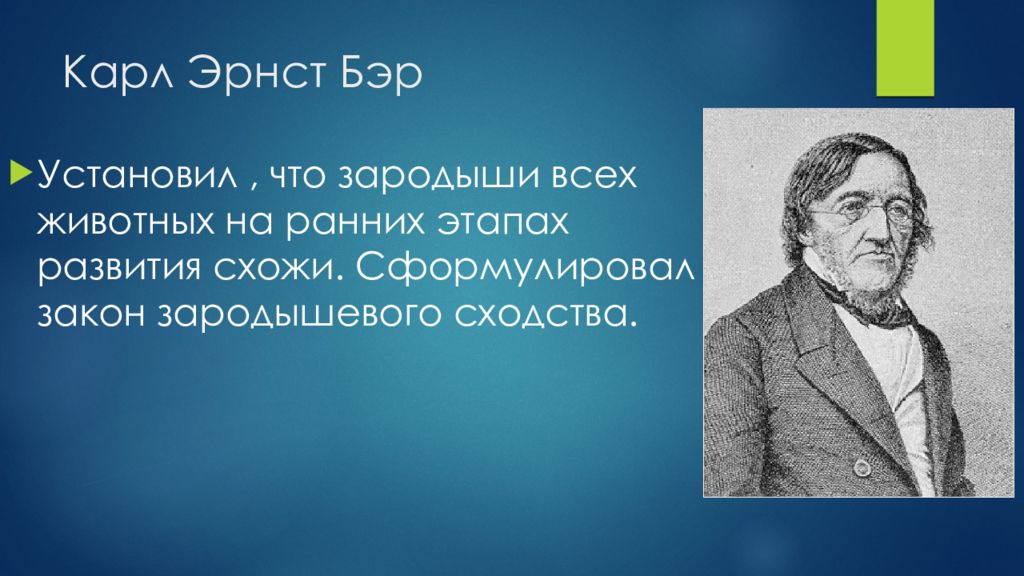 Медицина и биология. карл максимович бэр (1792–1876)