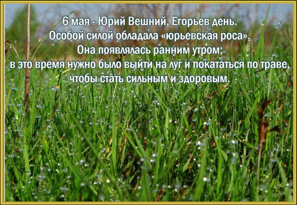 Народные приметы на 6 мая 2022 года: что можно и чего нельзя делать в этот день