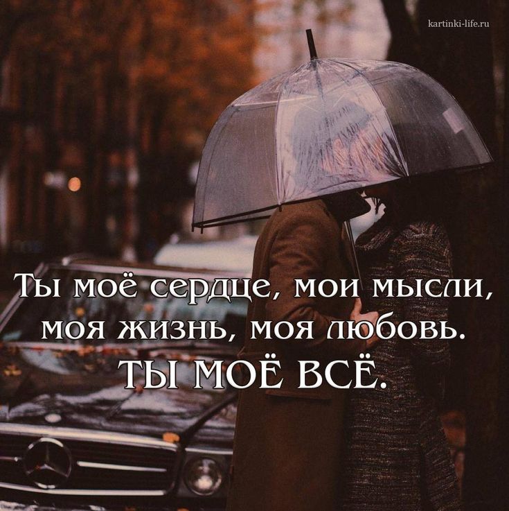 Вика старикова: биография, личная жизнь, родители, фото