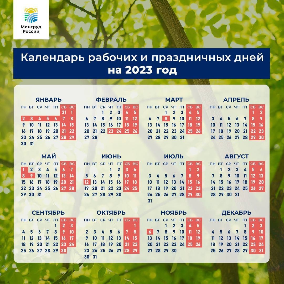 Приметы обо всем на 19 декабря 2023 года: что можно и нельзя делать в этот день | sakh.online