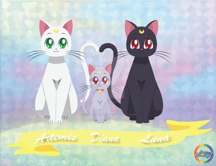 Top 50 most popular sailor moon characters