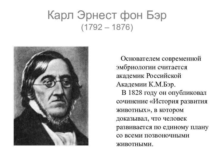 Карл максимович бэр. краткая биография